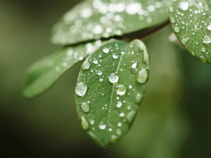 Ernest Holmes Quote Contemplation #2 (Lectio Divina)