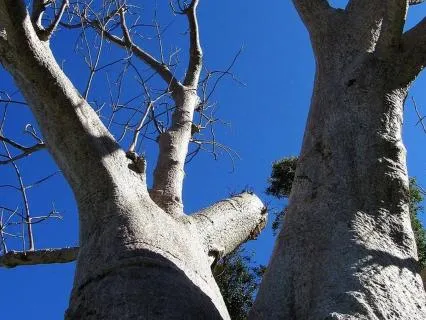 Overcoming Codependency