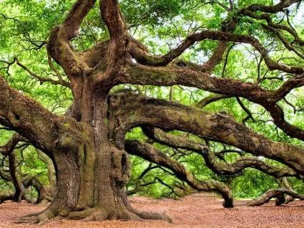 Feeling Grounded And Safe