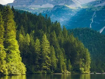 Escalando El Aconcagua, Motivational Upliftment Resilience