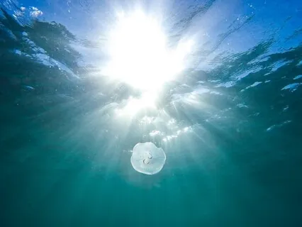 Escape Situation - Interactive Breath-Controlled Soundscape (Sonic Cradle)