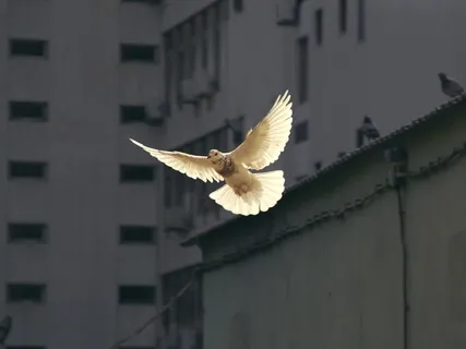 Escape The Prison Of Your Mind