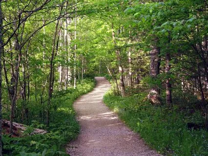 Escape to the Secret Garden