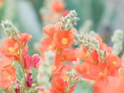 How To Escape Grind Culture And Heal From Burnout