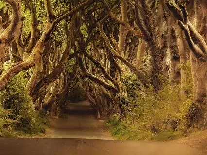 Escaping To A Place Where Dreams Live