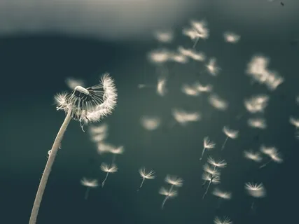 Eсли Человек Уходит - Отпускай