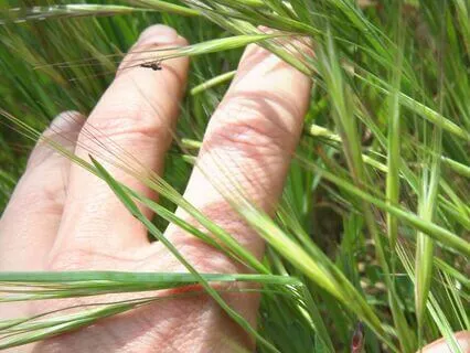 Unlock Your Extra Sensory Perception