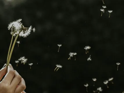 Pausa para Respirar em 3 Passos