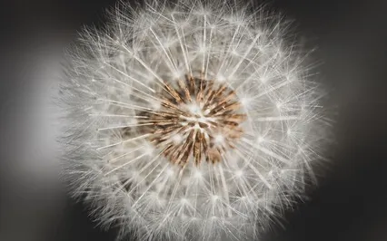 Espaço para Respirar em 3 Passos