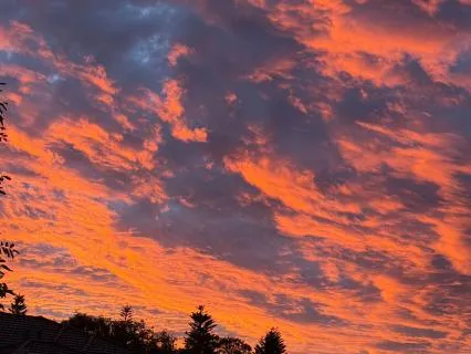 Essence Of Life: Fill Your Cup