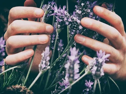 Essential Medicine 4: What Is The Body And Other Questions