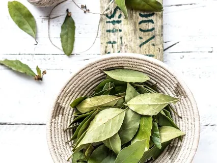 Essential Medicine 6: Deep Hope