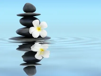 Essential Open Awareness NonDual Meditation - Shikantaza