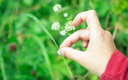 Establishing Mindfulness