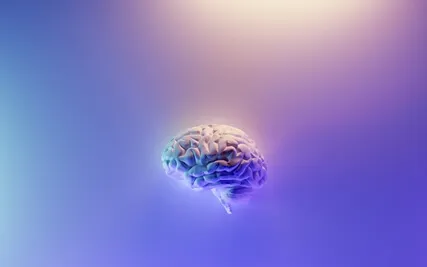 Establishing Mindfulness: Non-Interference