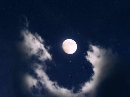 Esteemed Echoes - Self-Esteem Serenade