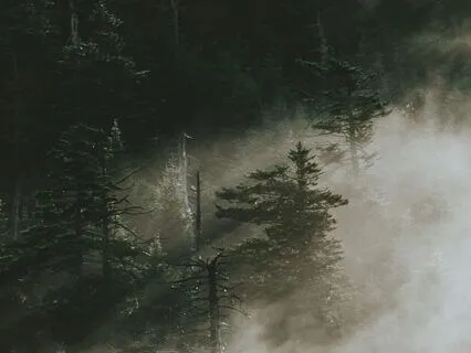 Eternal | Ambient Meditation Music