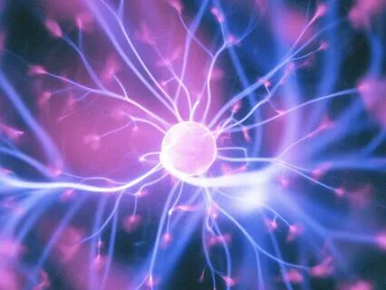 Eternal Cell For All