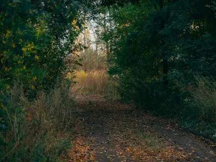 Eternal Echo - Songs Of The Ancestors