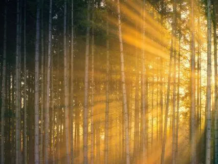 Eternal Light Of Creation: Expand Your Consciousness