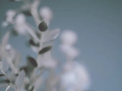 Eternal Love Synthesizer