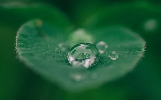 Eternal Now | Guided Meditation