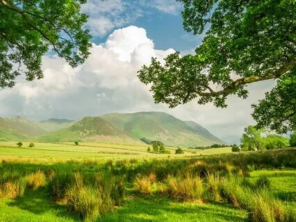 Eternal Peace: Melodies To Melt Away Stress