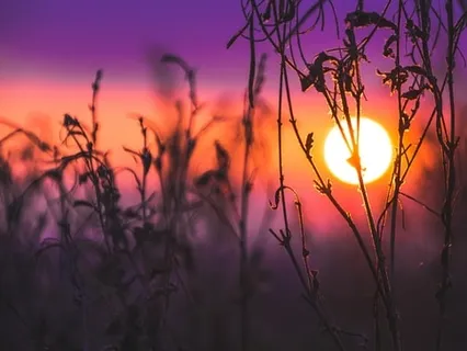 Eternal Soul - 528Hz Vocal Improvisation