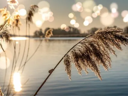 Eternal Tranquility: An Advaita Vedanta Sleep Voyage