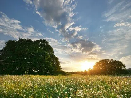 Ethereal Calm: Journey To Inner Peace