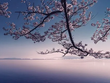 Ethereal Expansion – 15 Minute Meditation Music