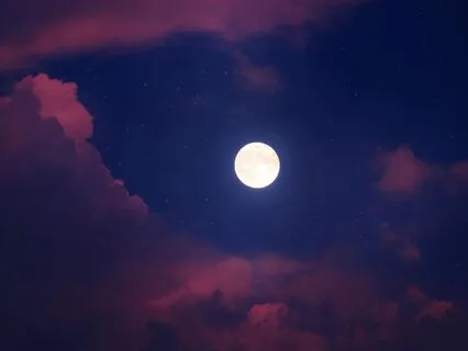 Ethereal Flute Wonderment