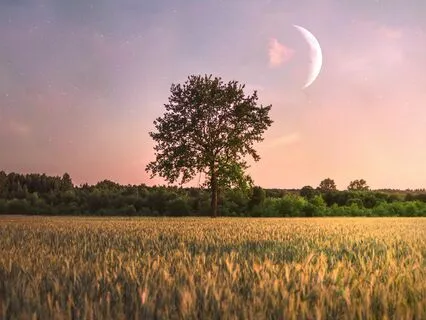 Sleep Music to Manifest Positive Life