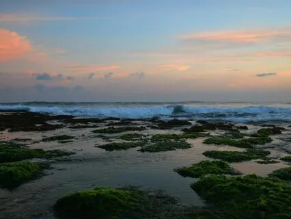 Ethereal Moments: Morning Reflection