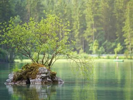 Ethereal Relaxation: Meditation Music | Birds And Water