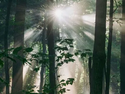 Ethereal Sounds For Stress & Burnout