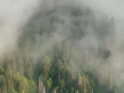 Ethereal Voices In The Mist – Angelic Calm For Deep Rest