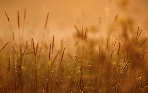 Ethics As A Foundation 