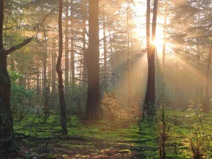 Ethics In Uncommonly Difficult Times