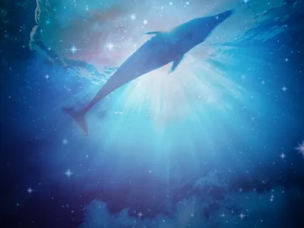  étoile de dauphin (Dolphin Starlight) -Sound Meditation
