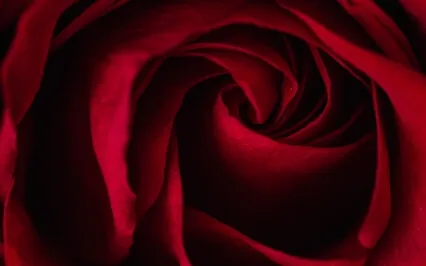 Etudes For Love No.1