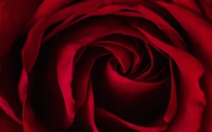 Etudes For Love No.2