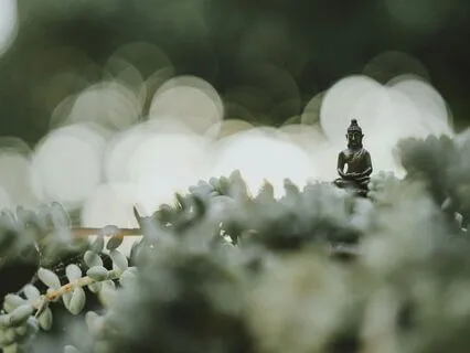 Euphoric Breathwork II - DMMT Release