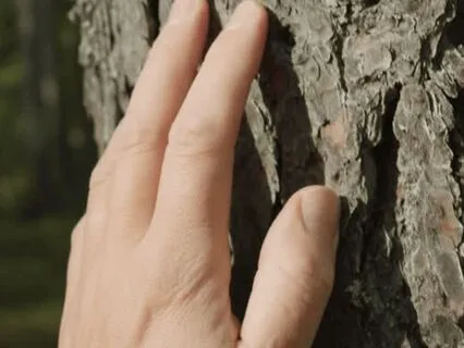 Even Here, I Can Soften: Interoceptive Awareness