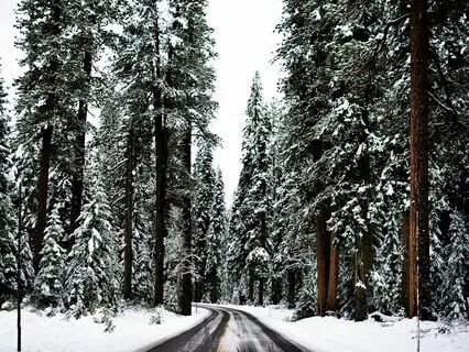 Even People In The Same Family May Have Different Religions