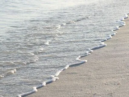 Even Regulating Breath To Calm And Nourish Your Body