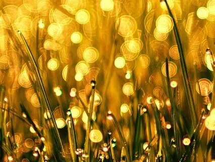 Evening Alignment For Abundance