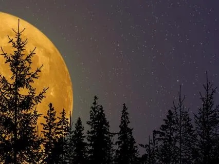 Evening Calm - Drifting Into Deep Sleep