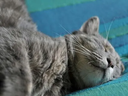 Evening Calm Ritual - Take A Five Series