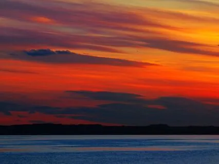 Evening Chakra Meditation With Your Pet | Rest & Restore